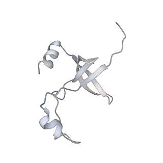 42439_8uox_F8_v1-1
Cryo-EM structure of a Counterclockwise locked form of the Salmonella enterica Typhimurium flagellar C-ring, with C34 symmetry applied