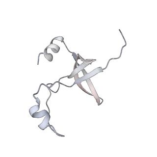 42439_8uox_F9_v1-0
Cryo-EM structure of a Counterclockwise locked form of the Salmonella enterica Typhimurium flagellar C-ring, with C34 symmetry applied