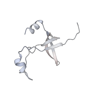 42439_8uox_FA_v1-1
Cryo-EM structure of a Counterclockwise locked form of the Salmonella enterica Typhimurium flagellar C-ring, with C34 symmetry applied