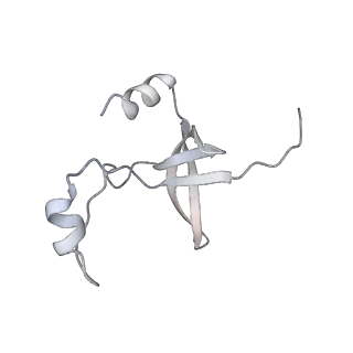 42439_8uox_FB_v1-1
Cryo-EM structure of a Counterclockwise locked form of the Salmonella enterica Typhimurium flagellar C-ring, with C34 symmetry applied