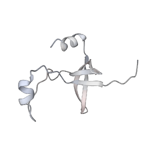 42439_8uox_FC_v1-1
Cryo-EM structure of a Counterclockwise locked form of the Salmonella enterica Typhimurium flagellar C-ring, with C34 symmetry applied