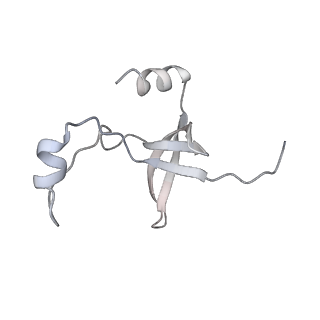 42439_8uox_FD_v1-1
Cryo-EM structure of a Counterclockwise locked form of the Salmonella enterica Typhimurium flagellar C-ring, with C34 symmetry applied