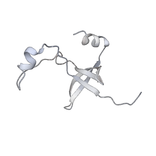 42439_8uox_FF_v1-1
Cryo-EM structure of a Counterclockwise locked form of the Salmonella enterica Typhimurium flagellar C-ring, with C34 symmetry applied