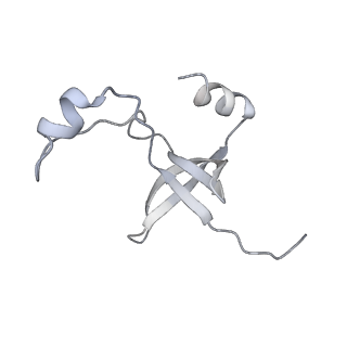 42439_8uox_FG_v1-1
Cryo-EM structure of a Counterclockwise locked form of the Salmonella enterica Typhimurium flagellar C-ring, with C34 symmetry applied