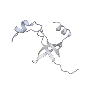 42439_8uox_FH_v1-1
Cryo-EM structure of a Counterclockwise locked form of the Salmonella enterica Typhimurium flagellar C-ring, with C34 symmetry applied