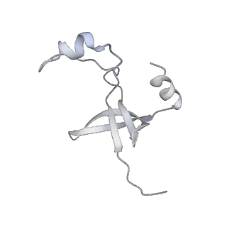 42439_8uox_FJ_v1-0
Cryo-EM structure of a Counterclockwise locked form of the Salmonella enterica Typhimurium flagellar C-ring, with C34 symmetry applied