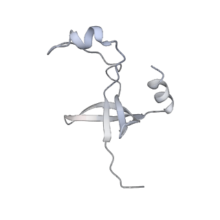 42439_8uox_FK_v1-1
Cryo-EM structure of a Counterclockwise locked form of the Salmonella enterica Typhimurium flagellar C-ring, with C34 symmetry applied