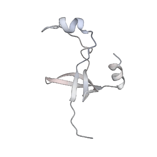 42439_8uox_FL_v1-1
Cryo-EM structure of a Counterclockwise locked form of the Salmonella enterica Typhimurium flagellar C-ring, with C34 symmetry applied