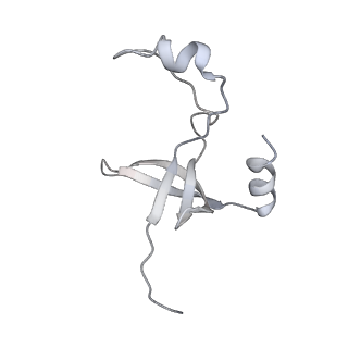 42439_8uox_FM_v1-1
Cryo-EM structure of a Counterclockwise locked form of the Salmonella enterica Typhimurium flagellar C-ring, with C34 symmetry applied