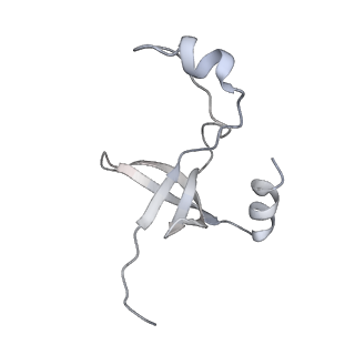 42439_8uox_FN_v1-1
Cryo-EM structure of a Counterclockwise locked form of the Salmonella enterica Typhimurium flagellar C-ring, with C34 symmetry applied