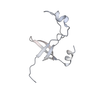 42439_8uox_FO_v1-1
Cryo-EM structure of a Counterclockwise locked form of the Salmonella enterica Typhimurium flagellar C-ring, with C34 symmetry applied