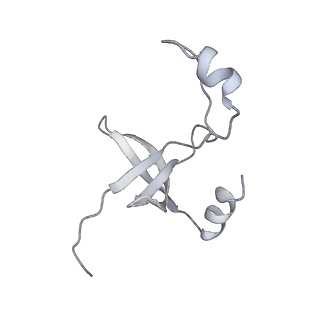 42439_8uox_FP_v1-1
Cryo-EM structure of a Counterclockwise locked form of the Salmonella enterica Typhimurium flagellar C-ring, with C34 symmetry applied