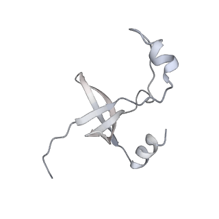 42439_8uox_FQ_v1-0
Cryo-EM structure of a Counterclockwise locked form of the Salmonella enterica Typhimurium flagellar C-ring, with C34 symmetry applied