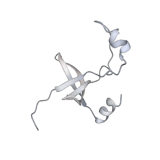 42439_8uox_FQ_v1-1
Cryo-EM structure of a Counterclockwise locked form of the Salmonella enterica Typhimurium flagellar C-ring, with C34 symmetry applied