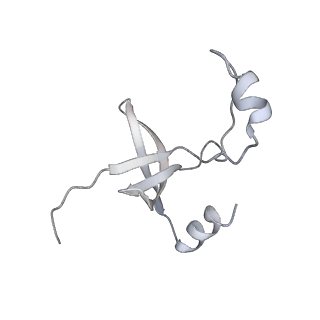 42439_8uox_FR_v1-0
Cryo-EM structure of a Counterclockwise locked form of the Salmonella enterica Typhimurium flagellar C-ring, with C34 symmetry applied