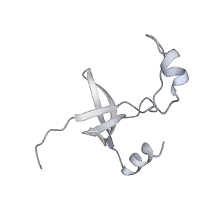 42439_8uox_FR_v1-1
Cryo-EM structure of a Counterclockwise locked form of the Salmonella enterica Typhimurium flagellar C-ring, with C34 symmetry applied