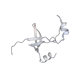 42439_8uox_FS_v1-1
Cryo-EM structure of a Counterclockwise locked form of the Salmonella enterica Typhimurium flagellar C-ring, with C34 symmetry applied