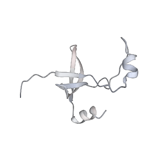 42439_8uox_FT_v1-0
Cryo-EM structure of a Counterclockwise locked form of the Salmonella enterica Typhimurium flagellar C-ring, with C34 symmetry applied