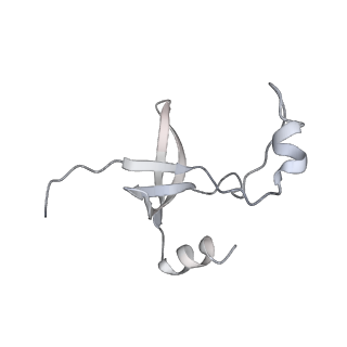 42439_8uox_FT_v1-1
Cryo-EM structure of a Counterclockwise locked form of the Salmonella enterica Typhimurium flagellar C-ring, with C34 symmetry applied