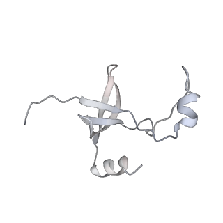 42439_8uox_FU_v1-1
Cryo-EM structure of a Counterclockwise locked form of the Salmonella enterica Typhimurium flagellar C-ring, with C34 symmetry applied