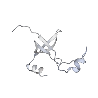 42439_8uox_FX_v1-1
Cryo-EM structure of a Counterclockwise locked form of the Salmonella enterica Typhimurium flagellar C-ring, with C34 symmetry applied