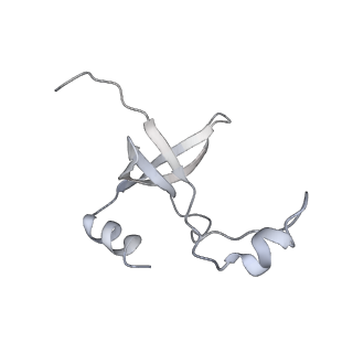 42439_8uox_FY_v1-1
Cryo-EM structure of a Counterclockwise locked form of the Salmonella enterica Typhimurium flagellar C-ring, with C34 symmetry applied