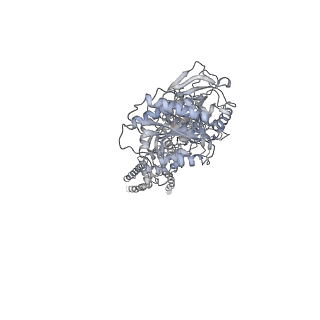 8579_5uow_A_v1-2
Triheteromeric NMDA receptor GluN1/GluN2A/GluN2B in complex with glycine, glutamate, MK-801 and a GluN2B-specific Fab, at pH 6.5