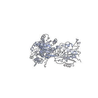 8579_5uow_B_v1-2
Triheteromeric NMDA receptor GluN1/GluN2A/GluN2B in complex with glycine, glutamate, MK-801 and a GluN2B-specific Fab, at pH 6.5