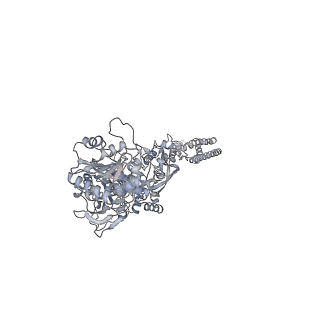 8579_5uow_C_v1-2
Triheteromeric NMDA receptor GluN1/GluN2A/GluN2B in complex with glycine, glutamate, MK-801 and a GluN2B-specific Fab, at pH 6.5