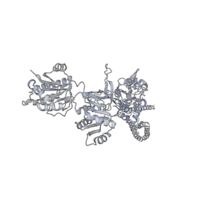 8579_5uow_D_v1-2
Triheteromeric NMDA receptor GluN1/GluN2A/GluN2B in complex with glycine, glutamate, MK-801 and a GluN2B-specific Fab, at pH 6.5