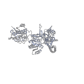 8579_5uow_D_v2-0
Triheteromeric NMDA receptor GluN1/GluN2A/GluN2B in complex with glycine, glutamate, MK-801 and a GluN2B-specific Fab, at pH 6.5