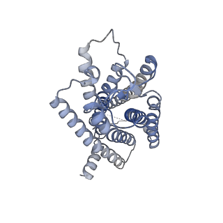 20836_6up7_R_v1-2
neurotensin receptor and arrestin2 complex