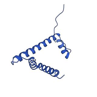 20839_6uph_D_v1-4
Structure of a Yeast Centromeric Nucleosome at 2.7 Angstrom resolution