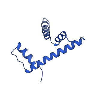 20839_6uph_H_v1-4
Structure of a Yeast Centromeric Nucleosome at 2.7 Angstrom resolution