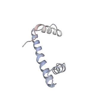 20840_6upk_A_v1-2
Structure of FACT_subnucleosome complex 1