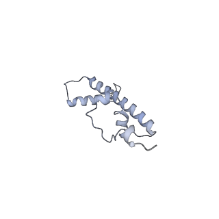 20840_6upk_C_v1-2
Structure of FACT_subnucleosome complex 1