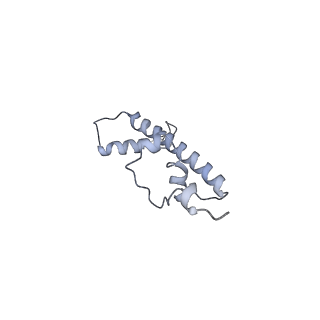 20840_6upk_C_v1-3
Structure of FACT_subnucleosome complex 1