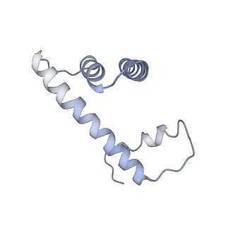 20840_6upk_D_v1-2
Structure of FACT_subnucleosome complex 1