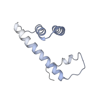 20840_6upk_D_v1-3
Structure of FACT_subnucleosome complex 1