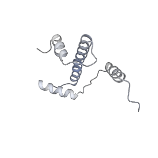 20840_6upk_E_v1-2
Structure of FACT_subnucleosome complex 1