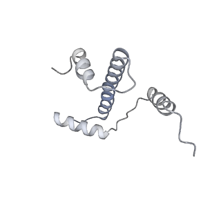 20840_6upk_E_v1-3
Structure of FACT_subnucleosome complex 1