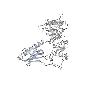 20840_6upk_G_v1-2
Structure of FACT_subnucleosome complex 1