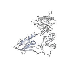 20840_6upk_G_v1-3
Structure of FACT_subnucleosome complex 1