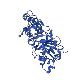 20843_6upv_A_v1-1
Alpha-E-catenin ABD-F-actin complex