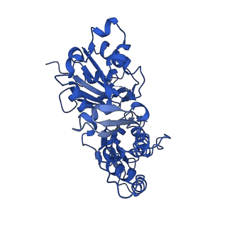 20843_6upv_B_v1-1
Alpha-E-catenin ABD-F-actin complex