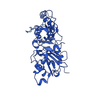 20843_6upv_C_v1-1
Alpha-E-catenin ABD-F-actin complex