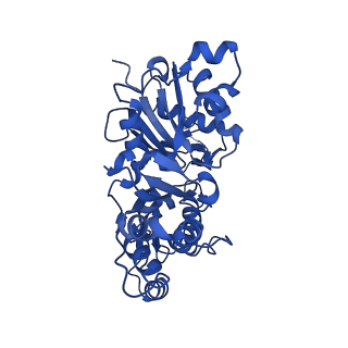 20843_6upv_D_v1-1
Alpha-E-catenin ABD-F-actin complex