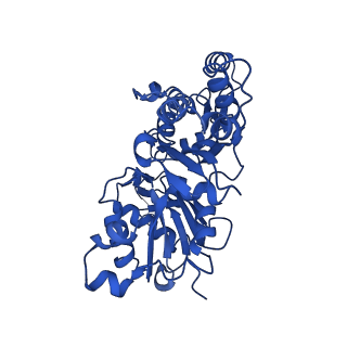 20843_6upv_E_v1-1
Alpha-E-catenin ABD-F-actin complex