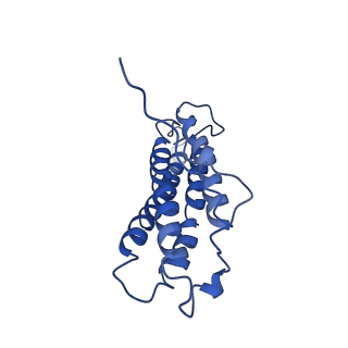 20843_6upv_L_v1-1
Alpha-E-catenin ABD-F-actin complex