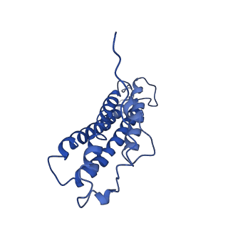 20843_6upv_M_v1-1
Alpha-E-catenin ABD-F-actin complex